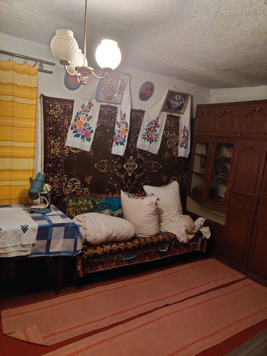 Будинок  в селі Оляниця