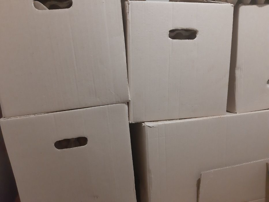 Бройлерні інкубаційні яйця