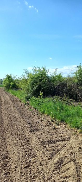 Mulczer, Karczowanie zarośli, czyszczenie działek WYCENA GRATIS !!!