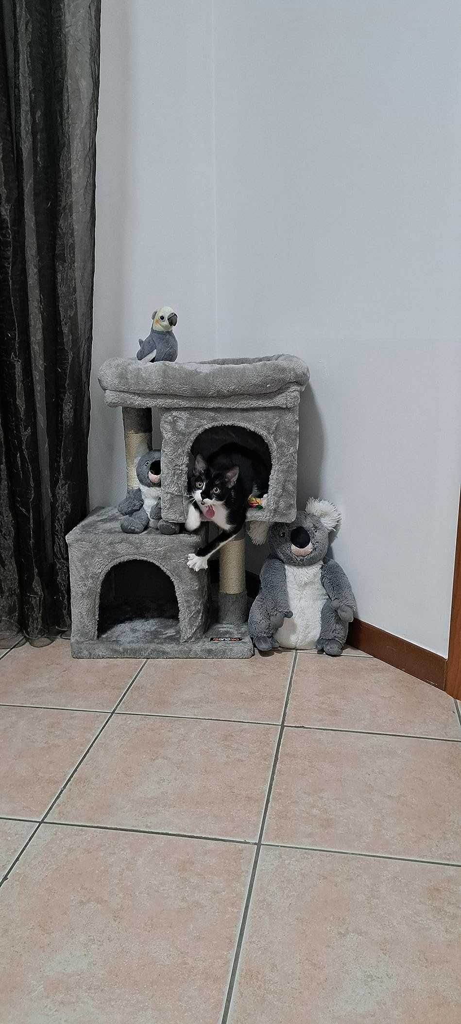 Kompaktowy drapak budka domek wygodny z legowiskiem 67 cm