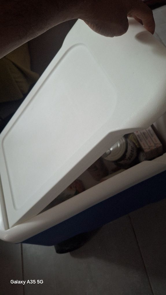 Igloo Coolers Refrigerador portátil  Cool 38 36L