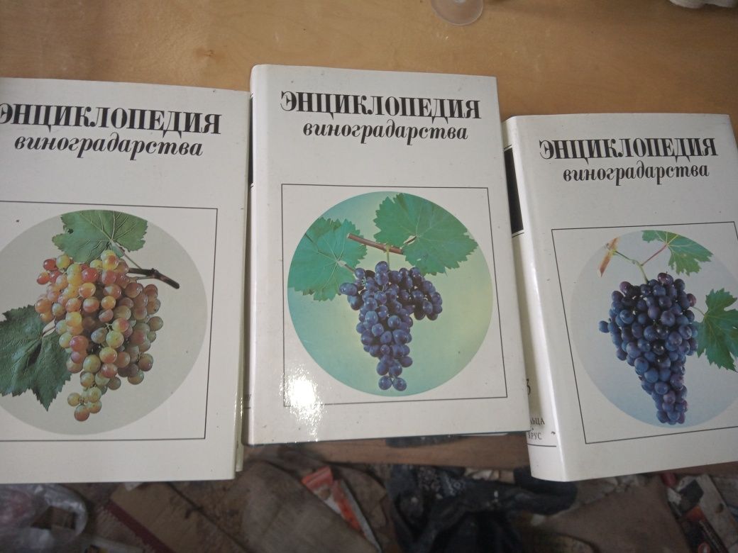 Энциклопедия виноградники