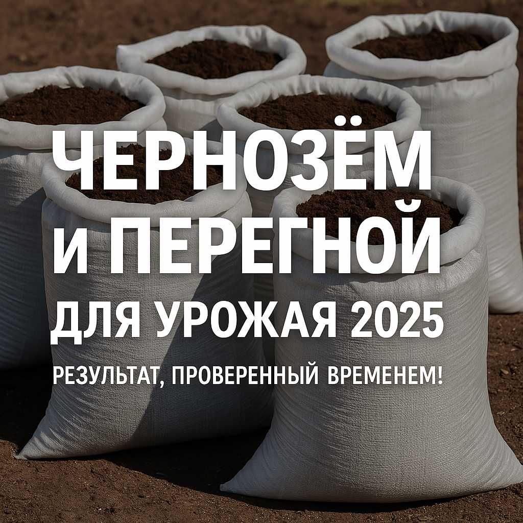 Чернозём с характером – плодородная земля для настоящего урожая!