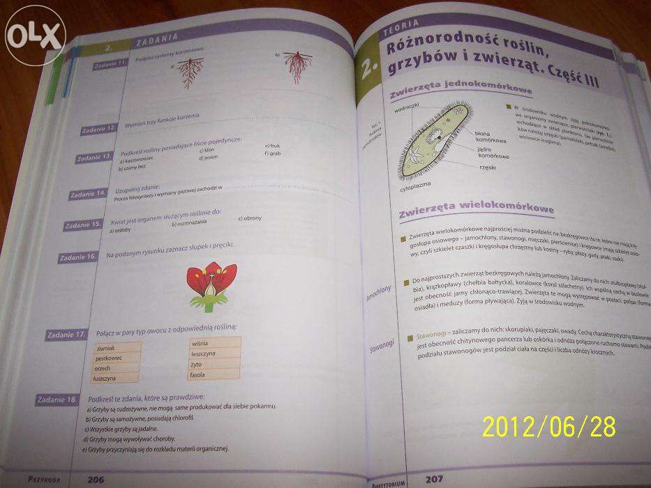 Repetytorium Szóstoklasisty !!! OKAZJA !!!