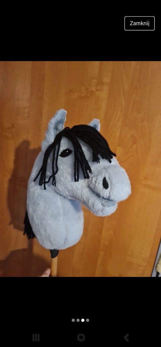 Hobby horse na kiju