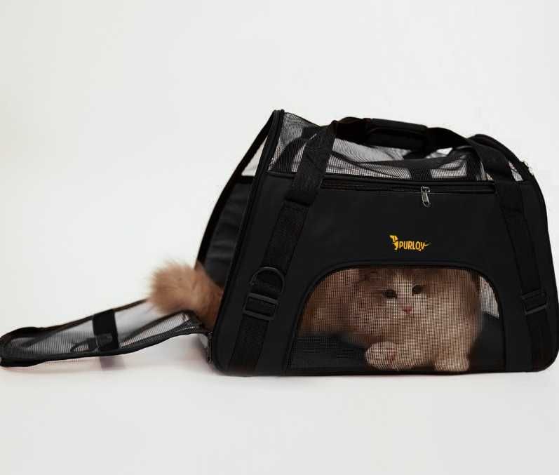 Duży mocny transporter dla psa kota królika czarny nowy!