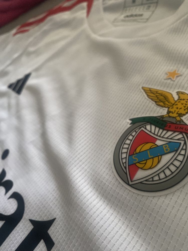 Equipamento Alternativ do SLB Benfica 23/24