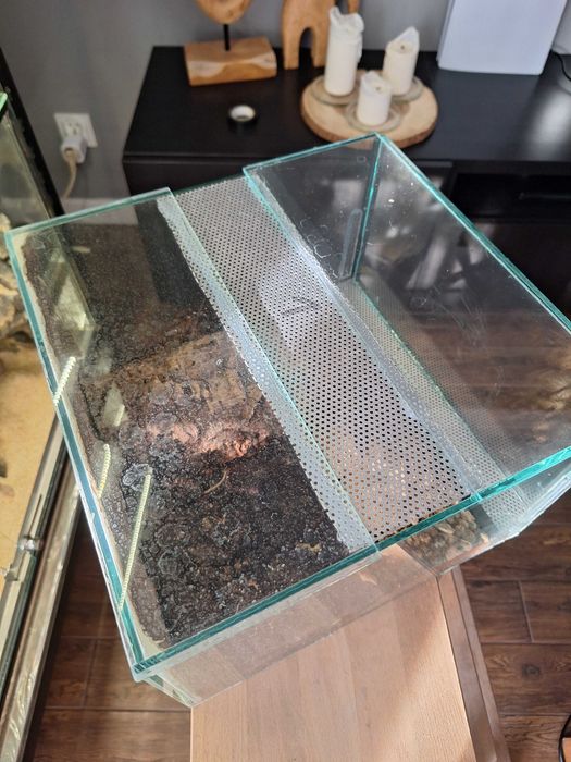 Terrarium szklane dla pająków, gadów / podana cena za 1szt