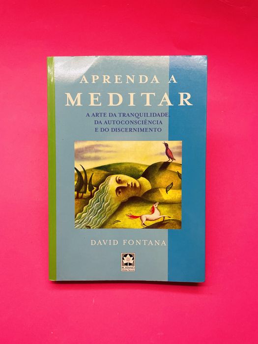 Aprenda a Meditar DAVID FONTANA