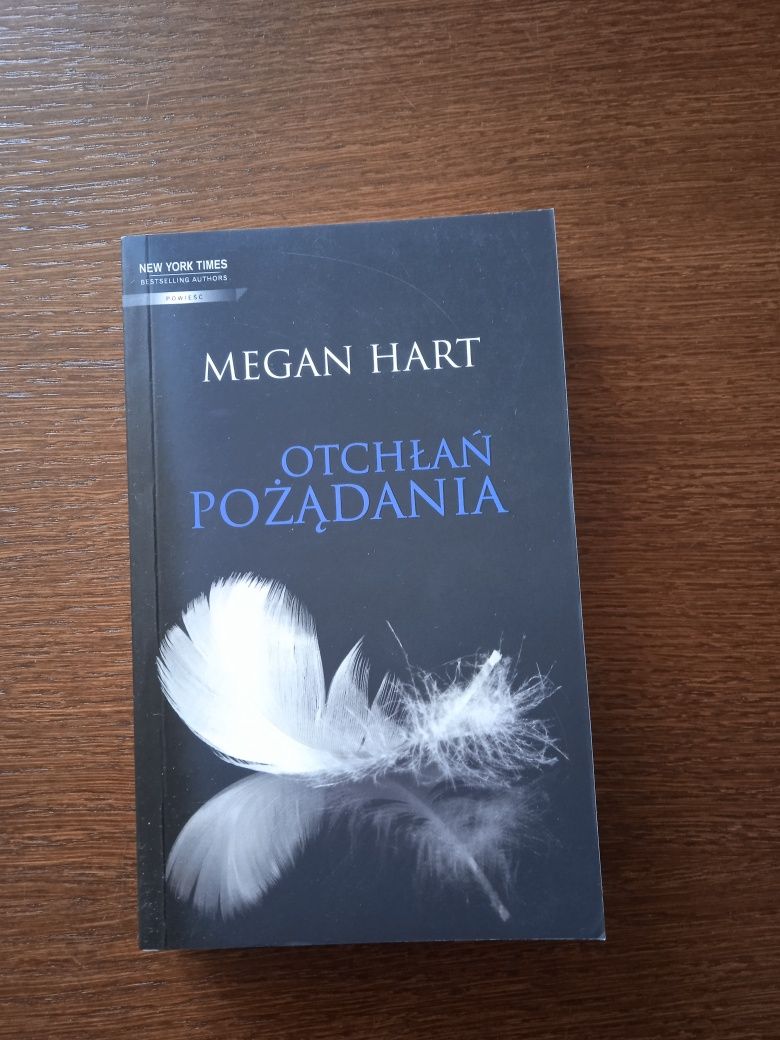 Otchłań pożądania Megan Hart