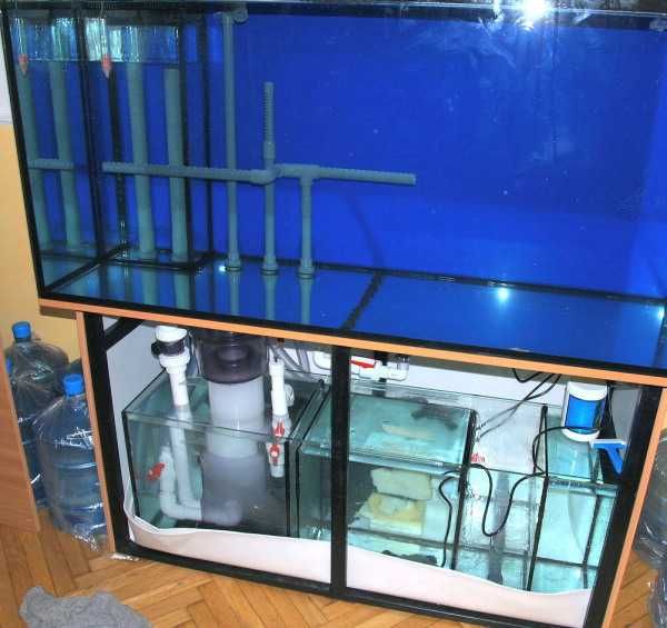 Морской и пресноводный аквариум. Под заказ. Ремонт