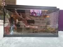 Akwarium terrarium np. Jaszczurka żółw i inne zwierzaczki