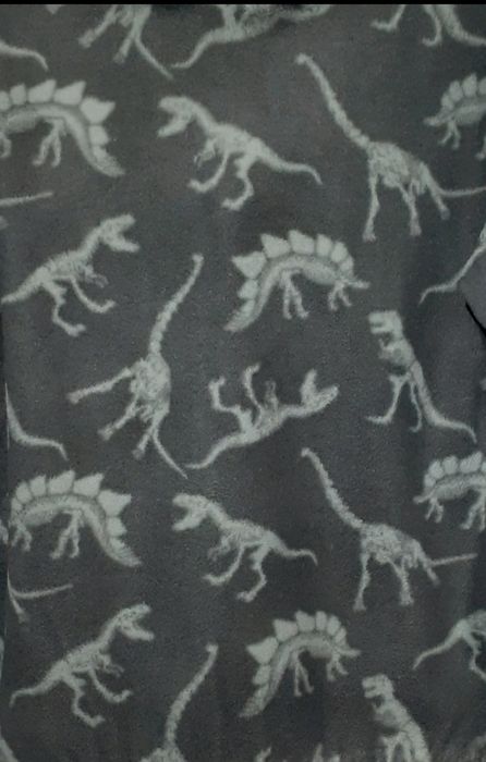 Sweat Dinossauros H&M 6 a 8 anos