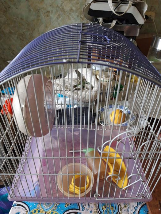 Продам клетку для хомяка,бу