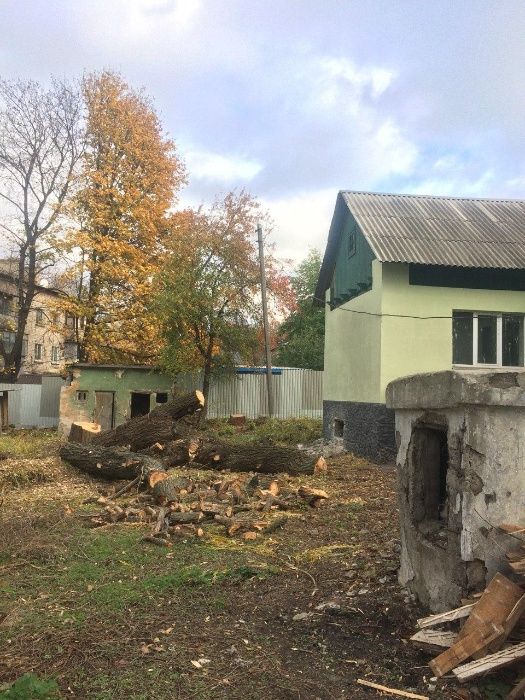 Спил деревьев  Работаем в военное время Дробление ветки