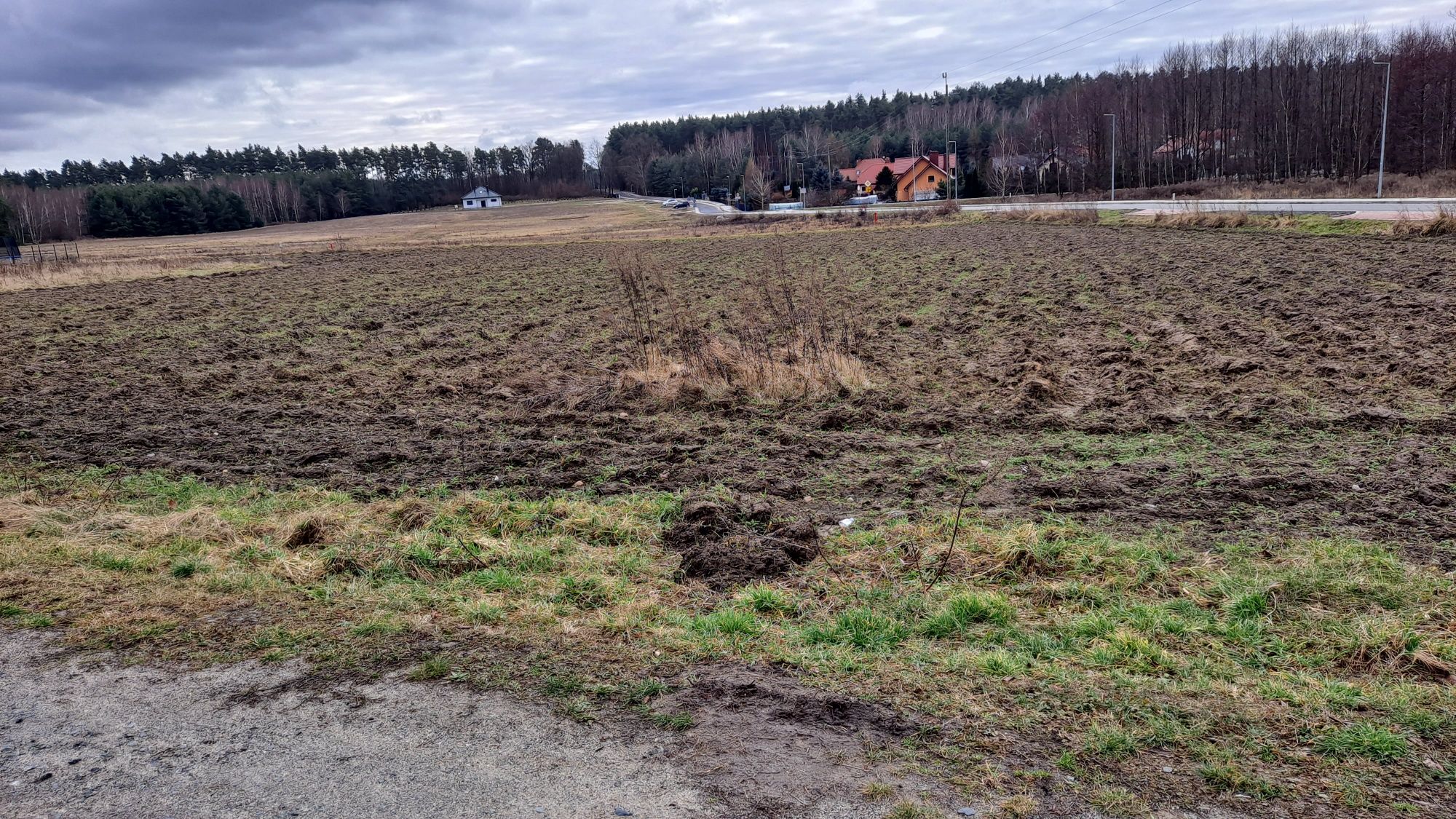Działki budowlane w Koźlicach