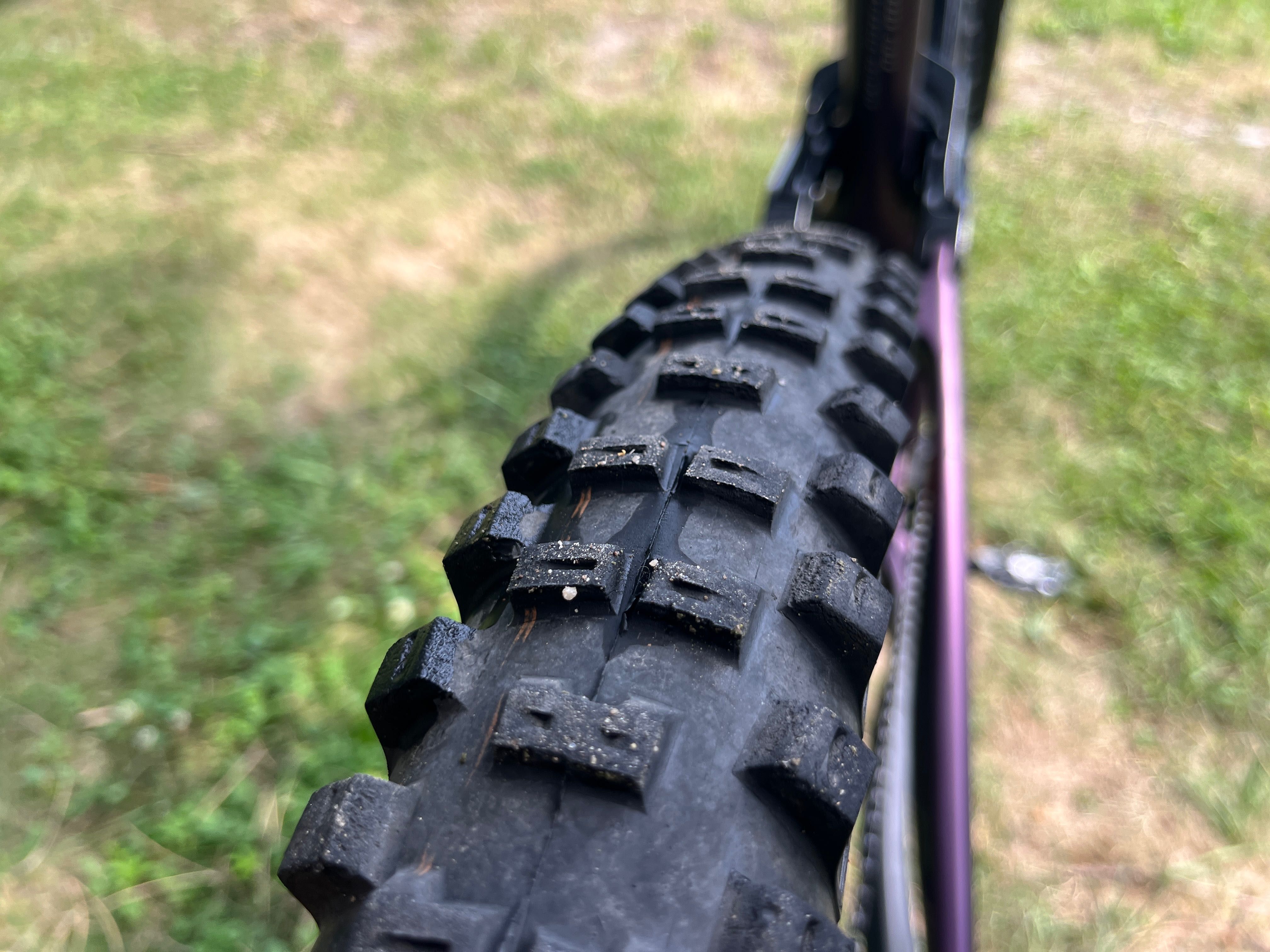 Bulls Wild creed RS XL 29”