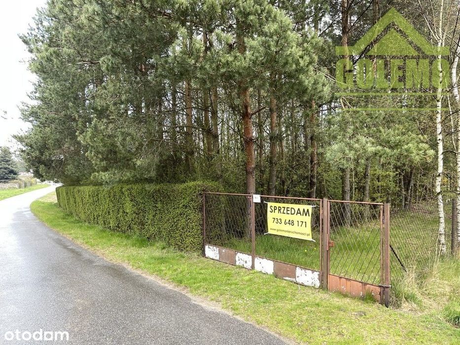 Działka Budowlano-Rekreacyjna / 8900m2 / Łochynia