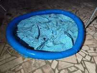 BestPiscina bestway 2,44 x 61 altura possibilidade de entrega