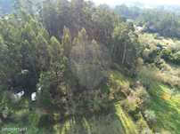 Terreno  para venda
