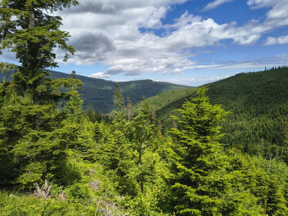 Sprzedam apartament w Zwardoniu