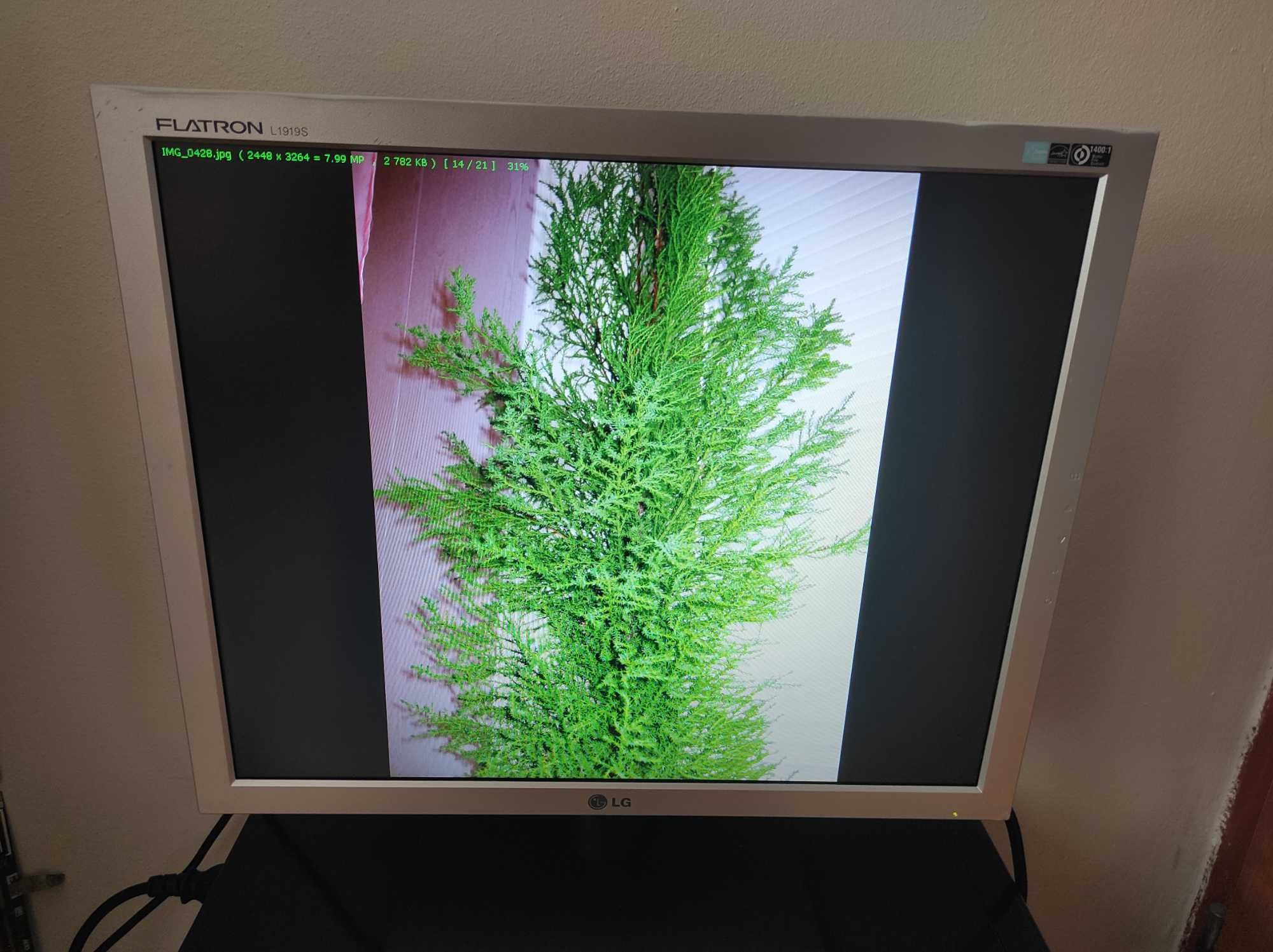 LG Flatron L1919S