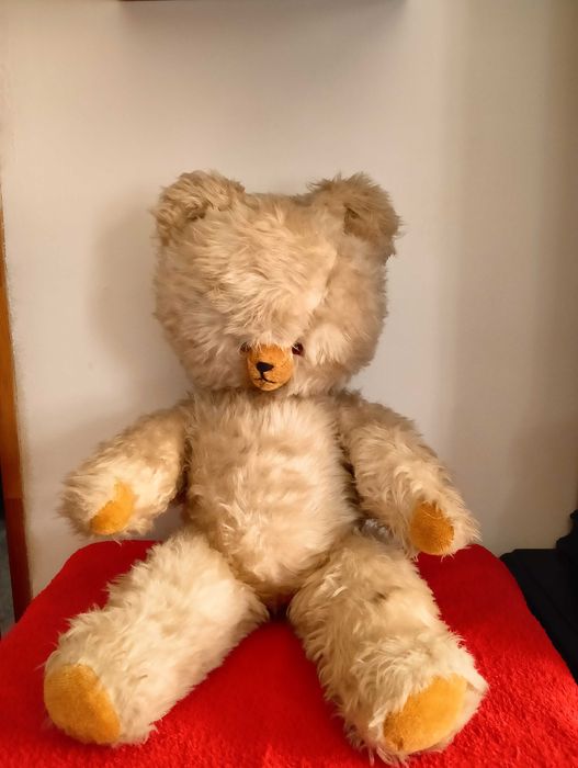 Miś, maskotka, trociniak, stary