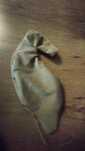 Hobby horse baza