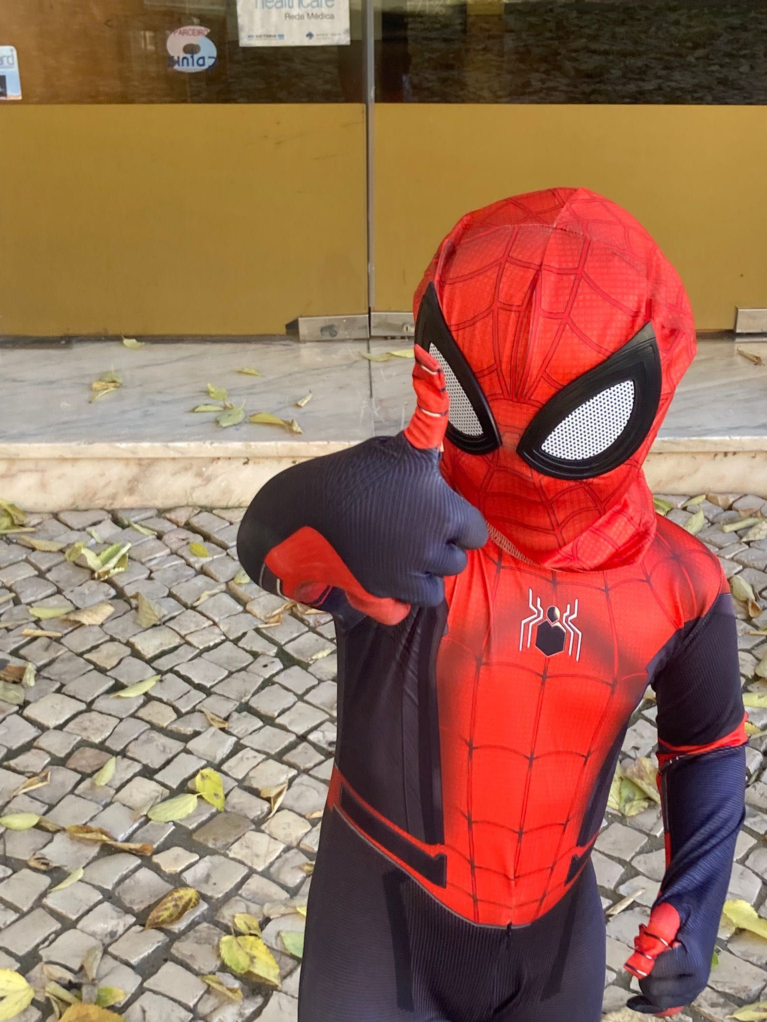 Fato do Homem Aranha