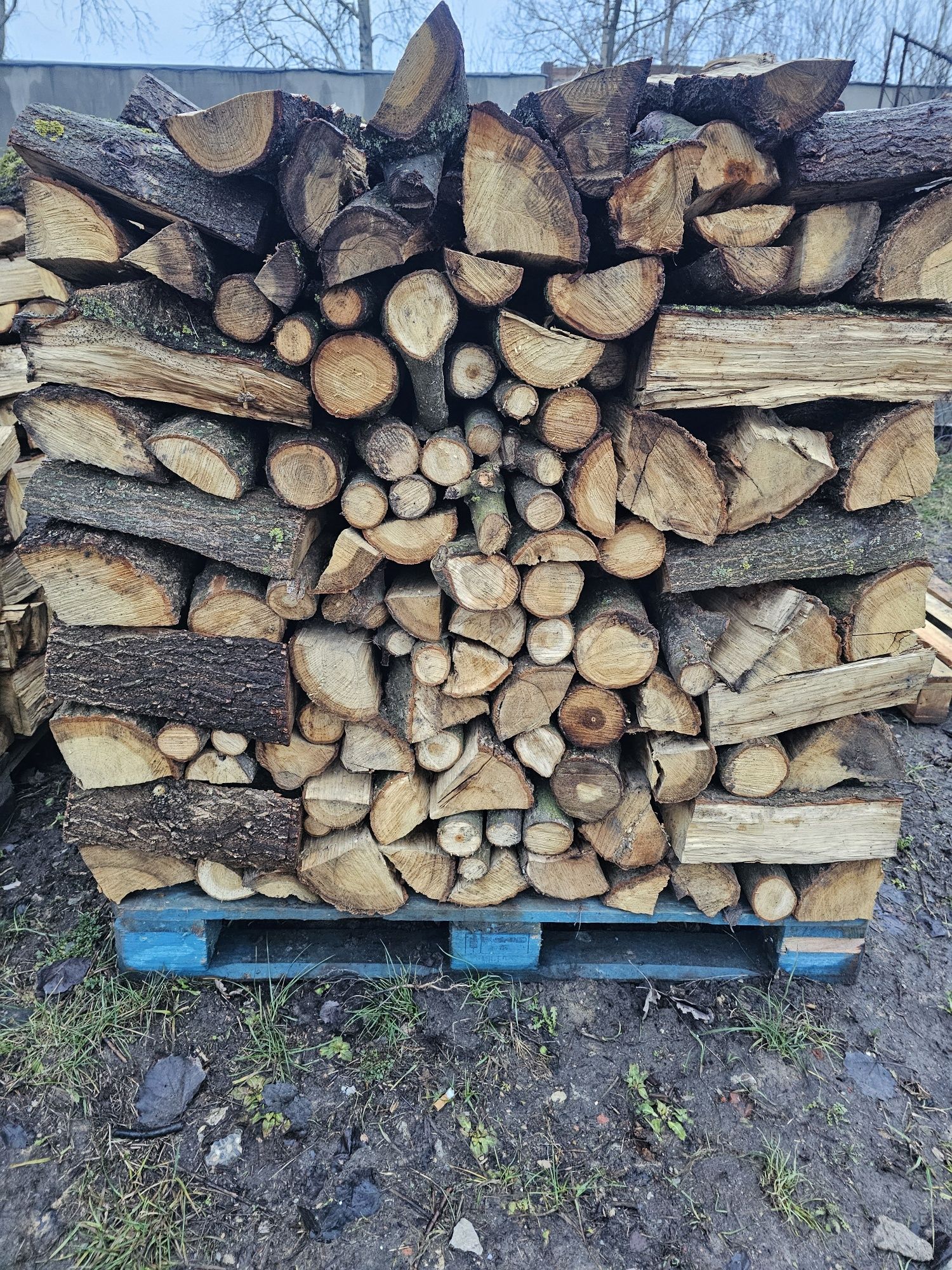 Drewno do kominka dąb