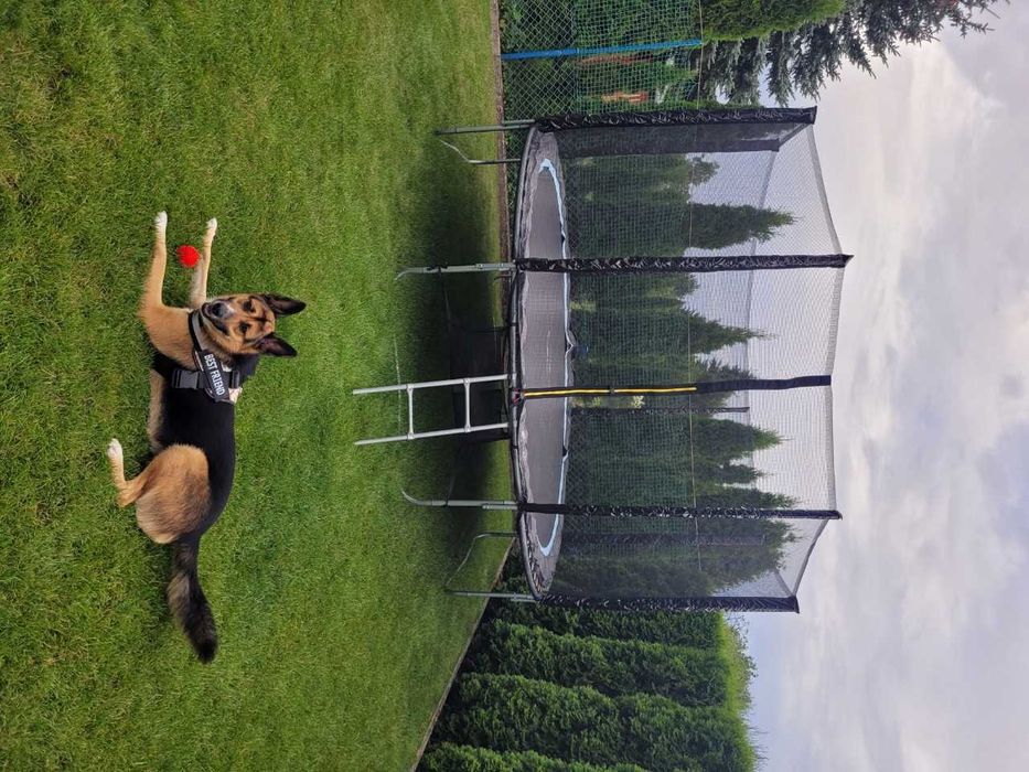 Siatka zewnętrzna do trampoliny ogrodowej 12 ft 8 słupków 366cm Mocna