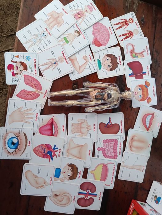 Перший великий конструктор. Человек.