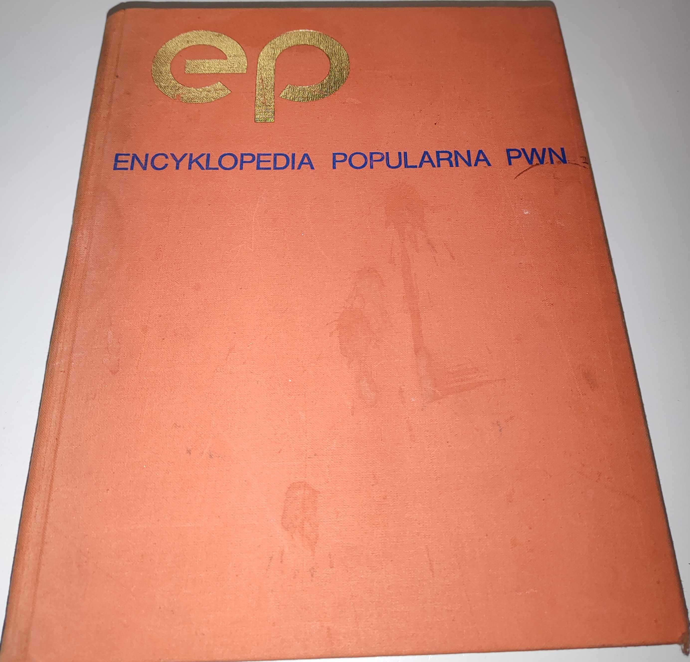 Encyklopedia popularna PWN 1982