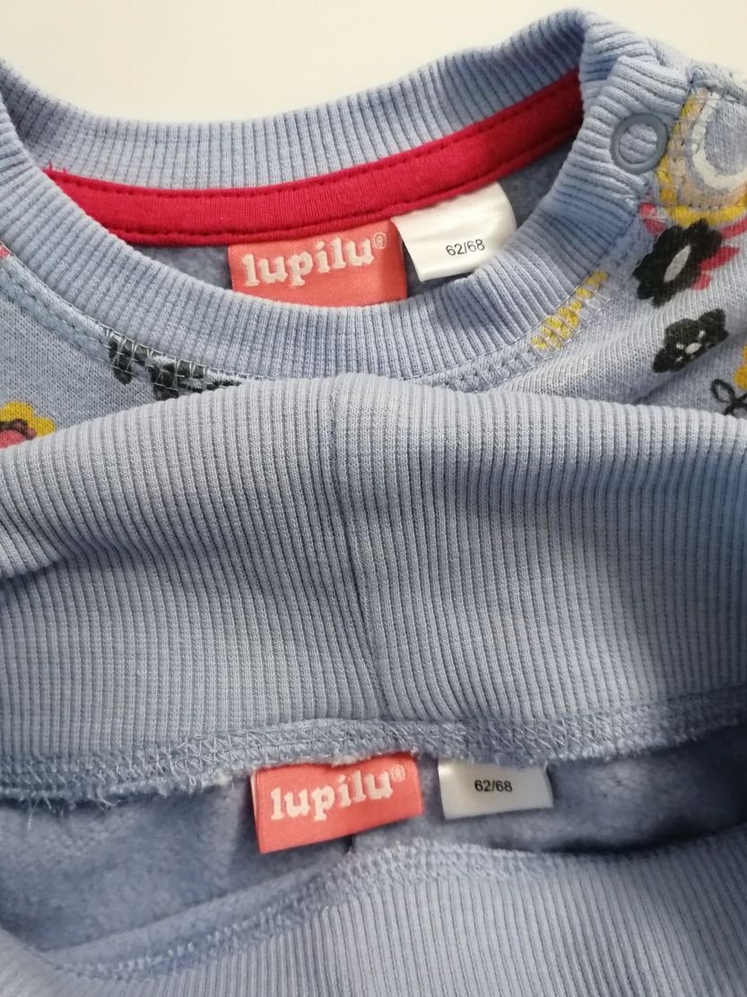 Dres niemowlęcy Lupilu 62/68