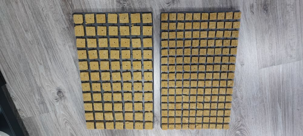 Bandeja tacos de lã de rocha e Bandeja de plug-ins (jiffys)