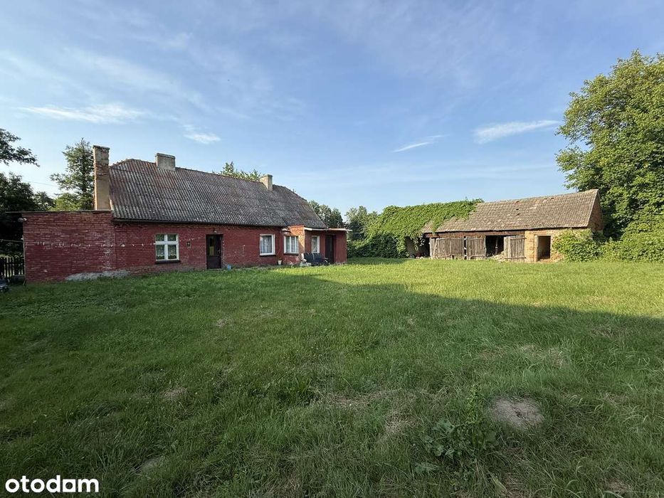 Dom z potencjałem + duża działka 2925 m² | Janków, gm. Pleszew