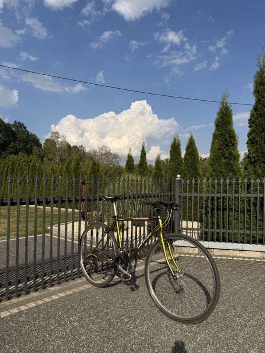 Rower author baltimoor 28 3x8