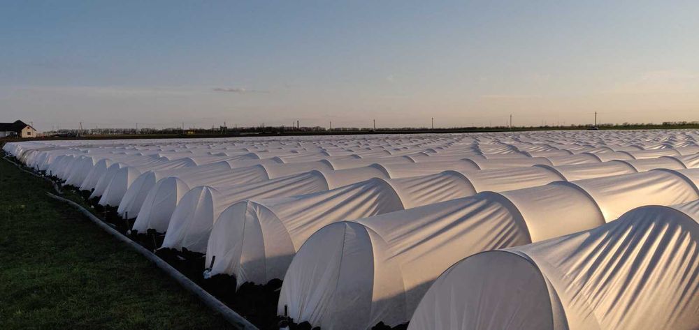 Арматура Композитна склопластикова Polyarm Ø10мм Бухта 50 метрів