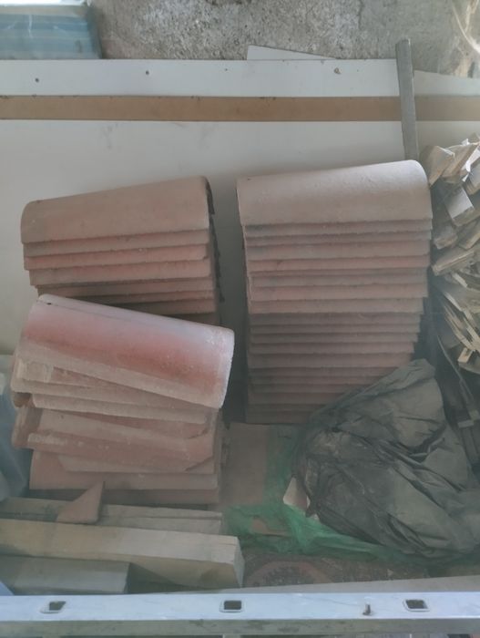 Gąsior dachowy Brass