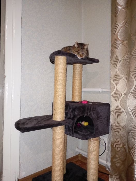 Будиночк для кота