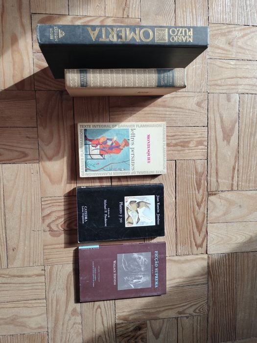 Livros em Inglês e Espanhol