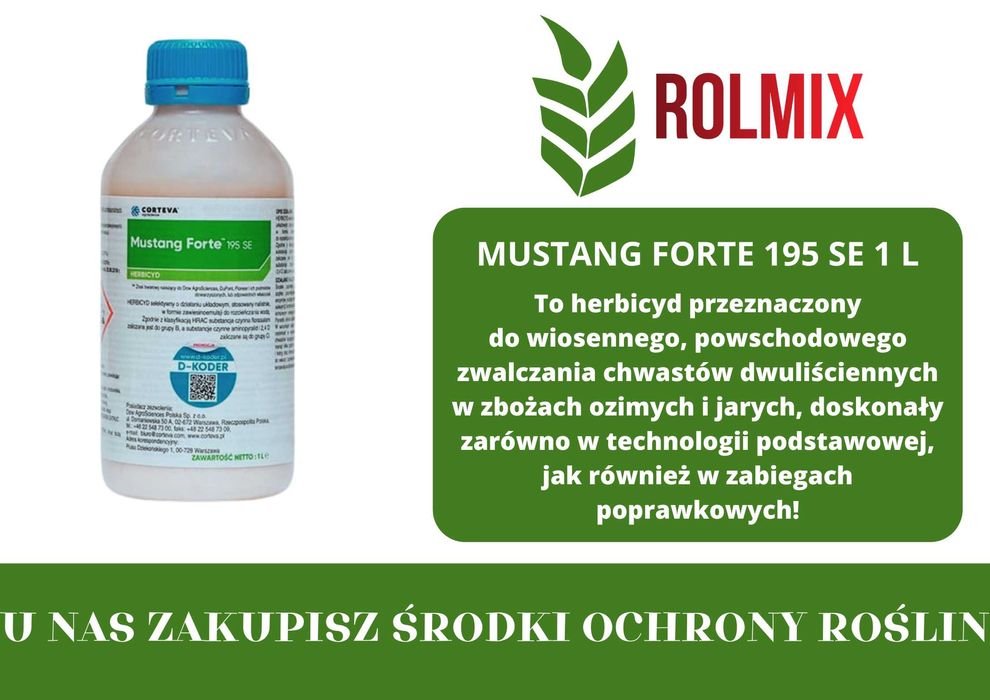 Mustang Forte 195 SE - 1 L