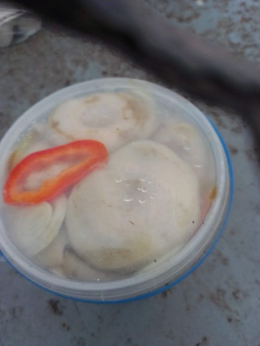 Грузд бочковий домашнього приготування