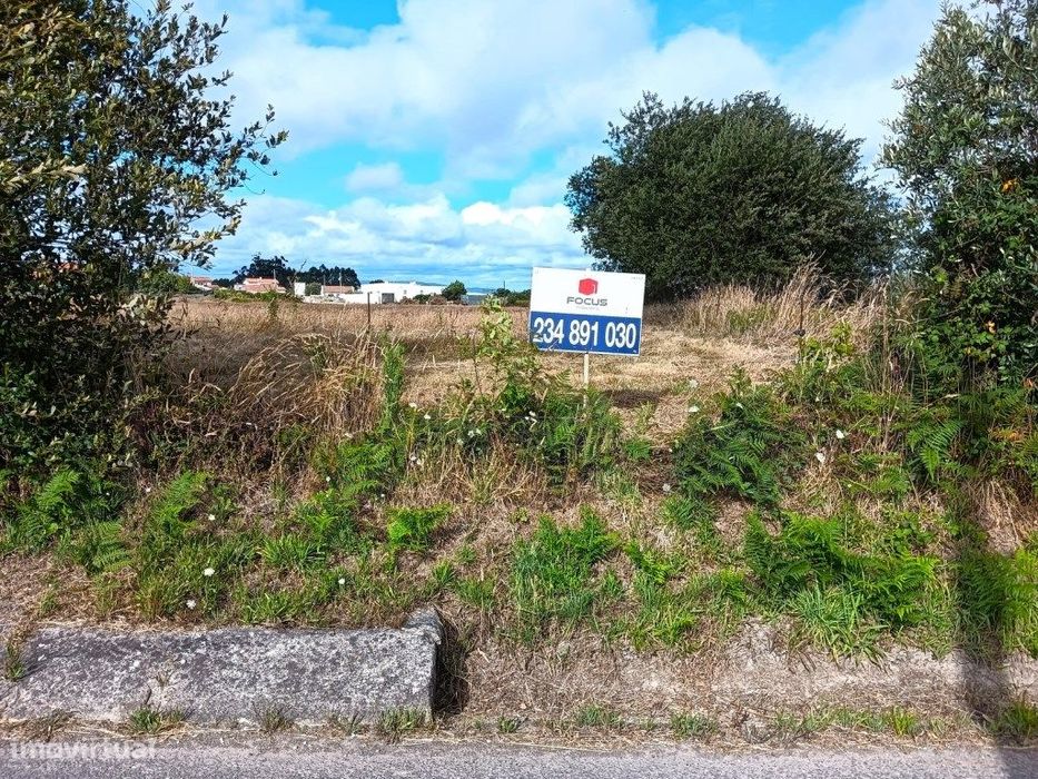 Terreno Rustico / Agrícola - Cacia - Para Investimento