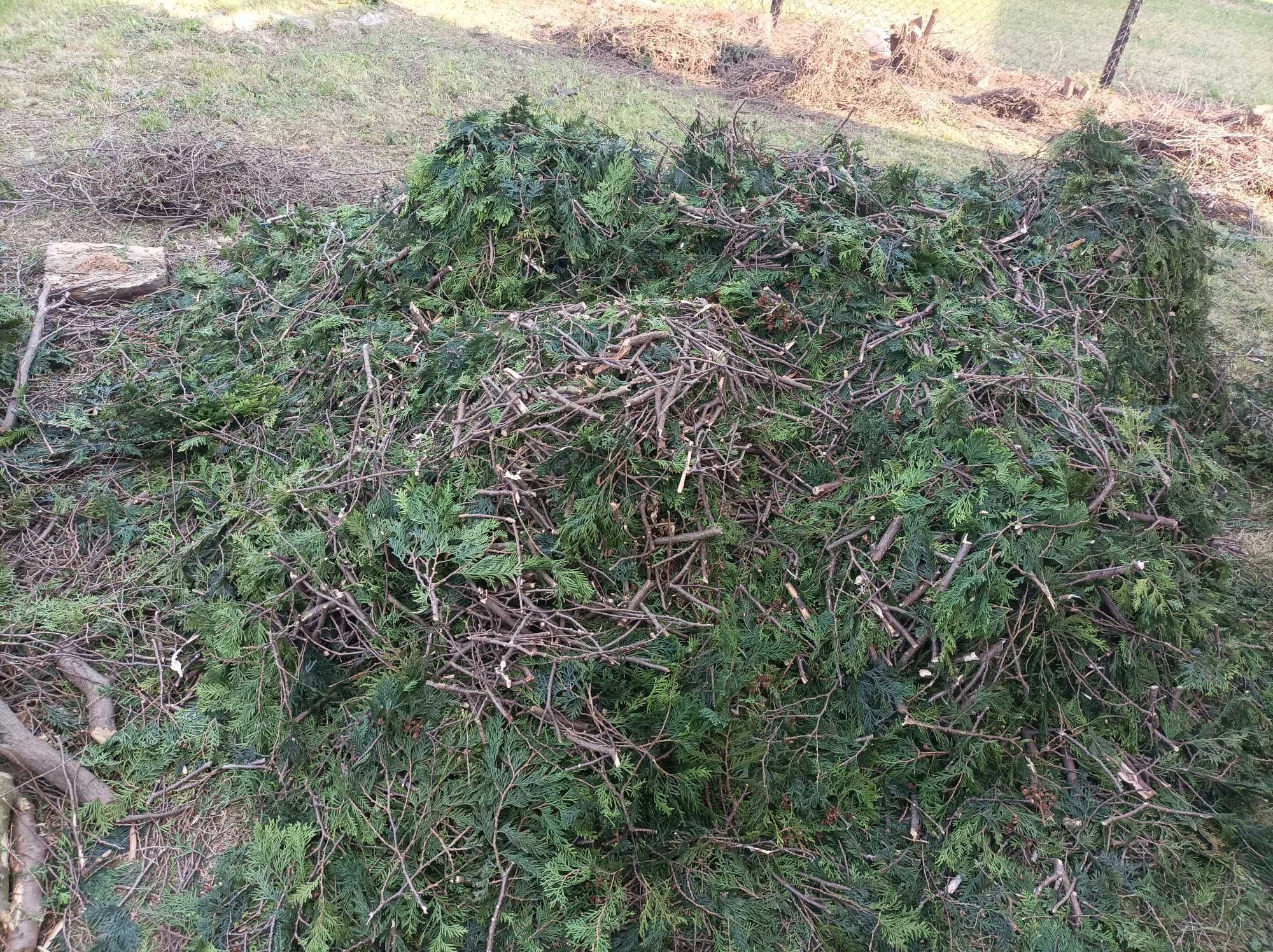 Rębak / rozdrabniacz do gałęzi REMET CNC na siłę 400V
