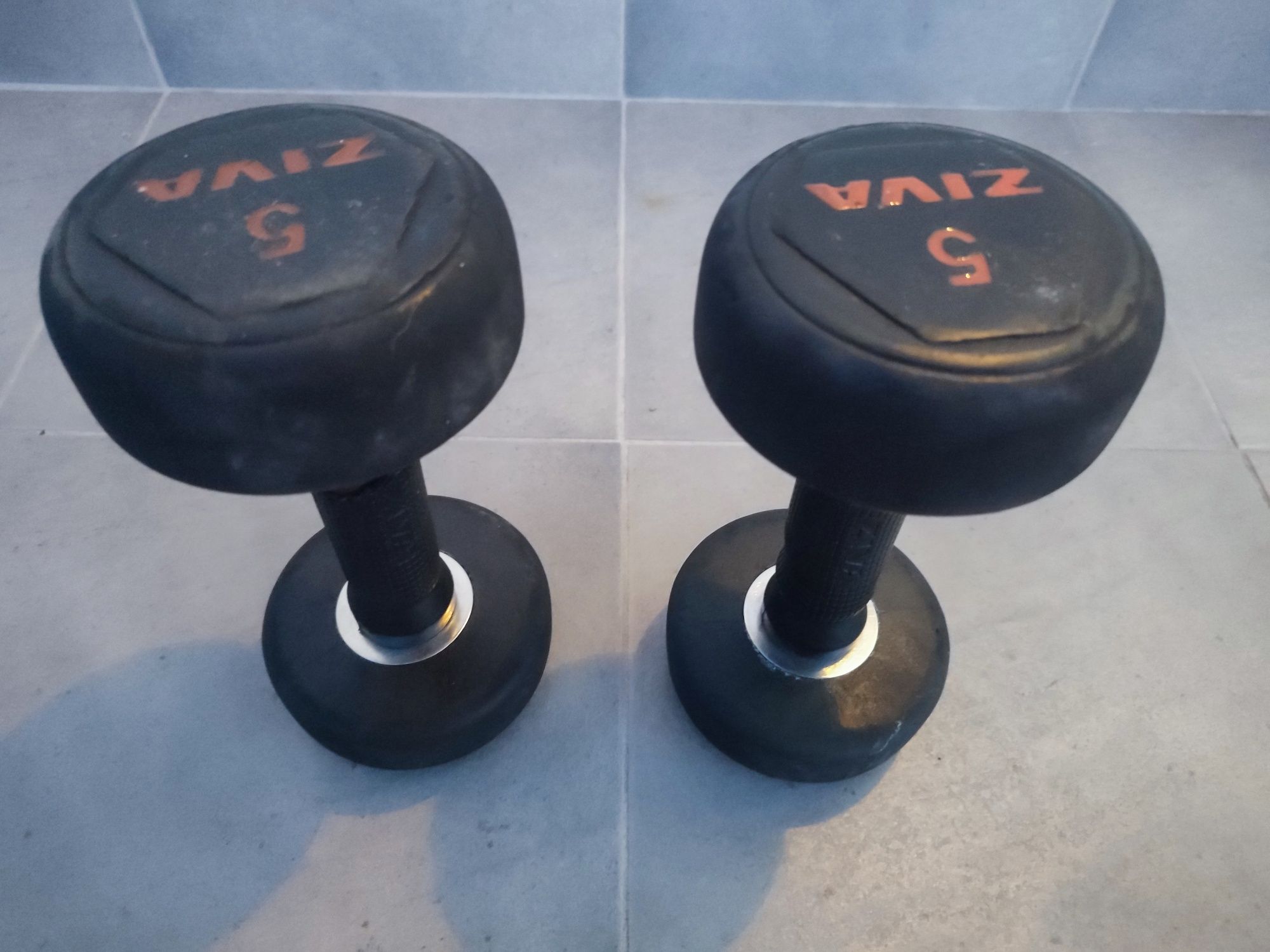 Halteres 5KG ZIVA