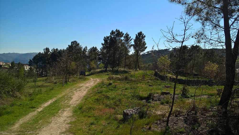 Terreno Para construção Baião, Gôve