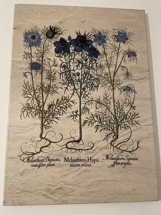 Obraz (reprodukcja) na ścianę