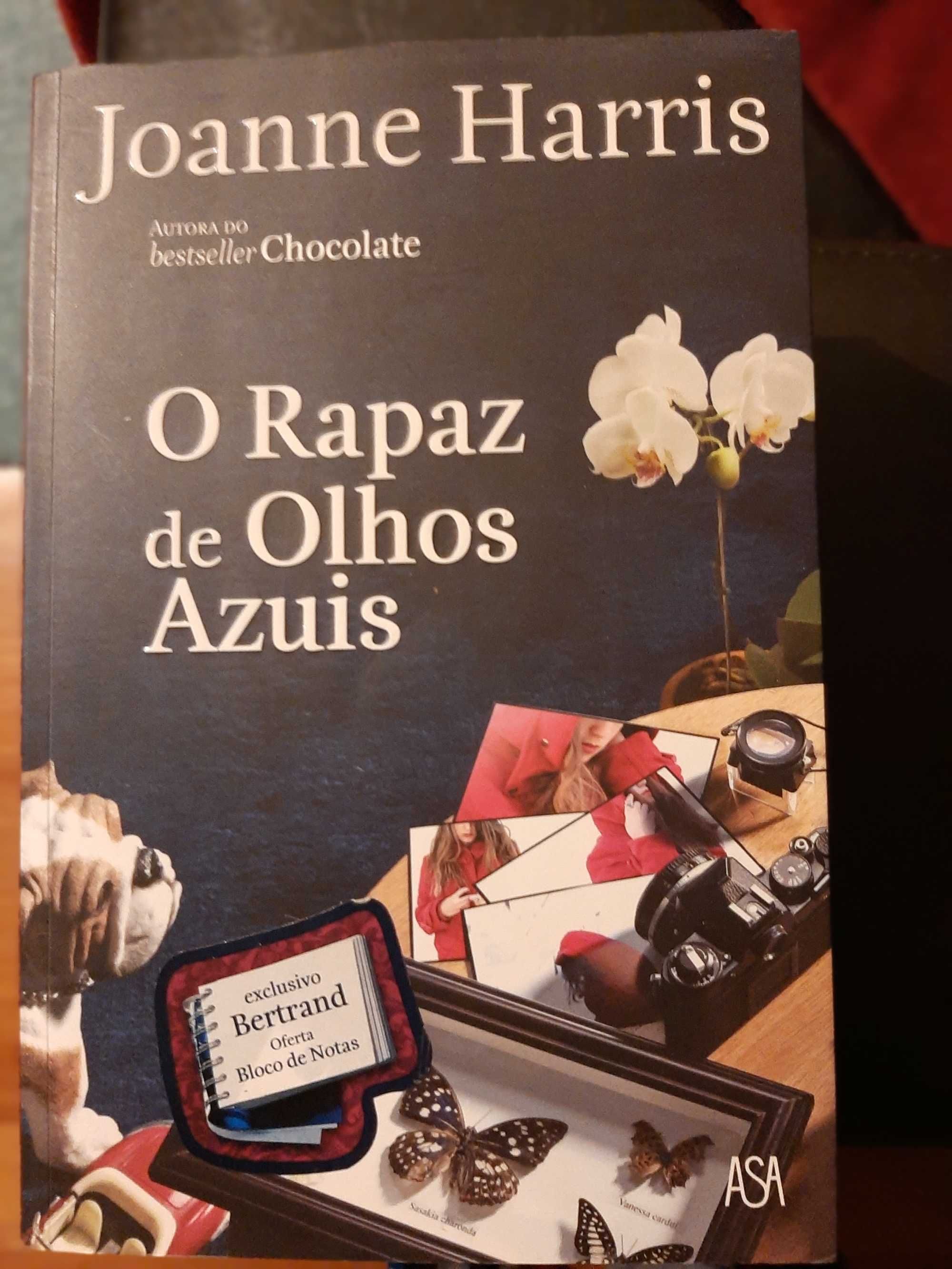 Diversos livros como novos