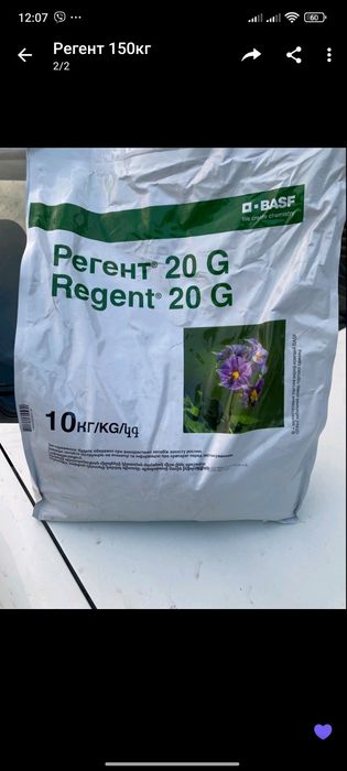 Інсектицид регент 20 захисти свою картоплю від дротянки